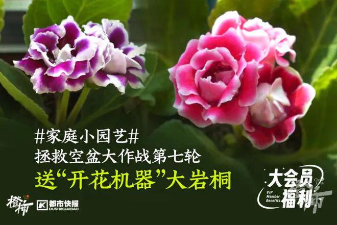 要几分钟？橙柿请你挑战自我米乐m6登录入口爬60层楼(图3)